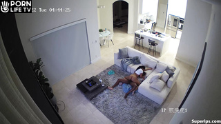 Black French couple fucks in their living room