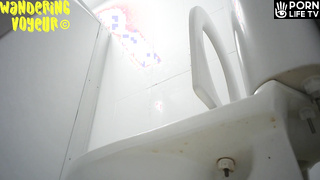 Wandering Voyeur - Beach toilet-261