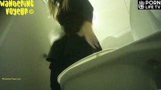 Wandering Voyeur - Mall Toilet-474