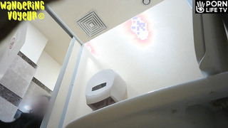 Wandering Voyeur - Mall Toilet-488