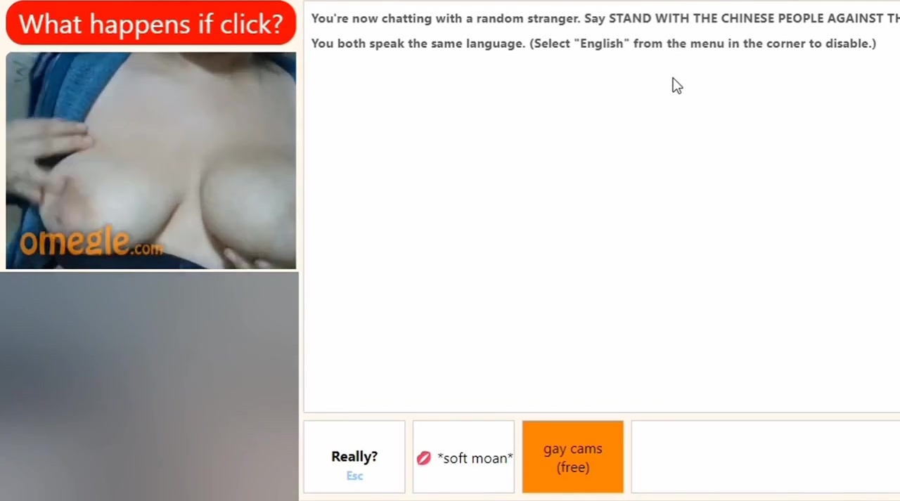 Omegle Porn - Licking Her Boobs And Moaning For Cum