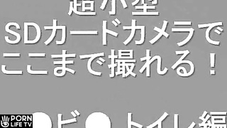 場所バレボトッボトッネチョッ地下鉄御〇筋のトイレでう〇こ８